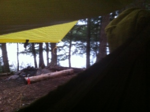 View from inside the Hammock (Guskewa Lake, Algonquin)