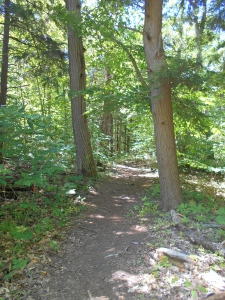 The start of the "Lookout Trail".